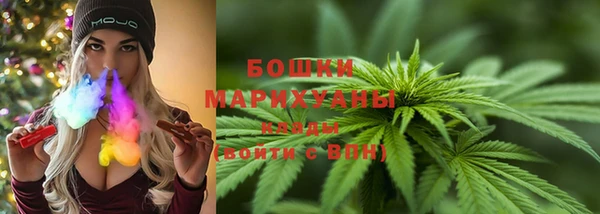 бошки Аркадак