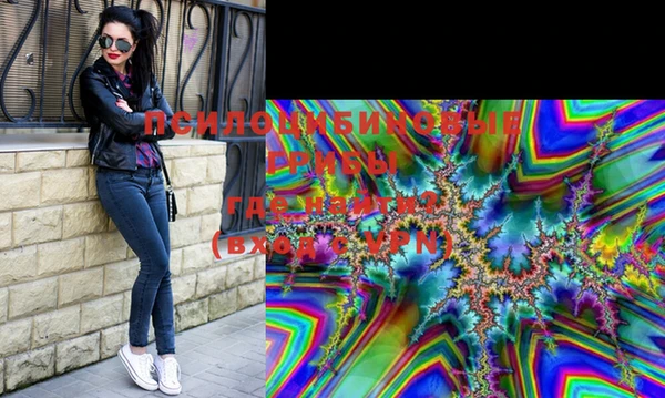 бошки Аркадак