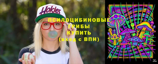 бошки Аркадак