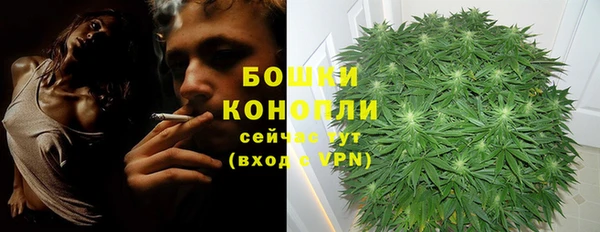 бошки Аркадак