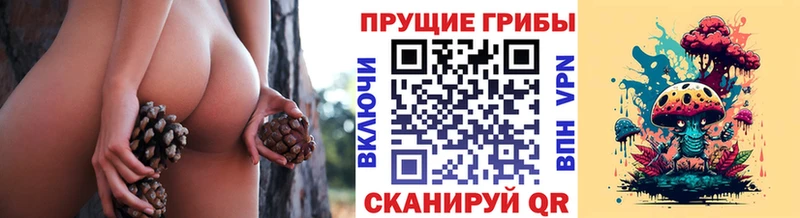 Галлюциногенные грибы Psilocybe  сколько стоит  kraken рабочий сайт  Ряжск 